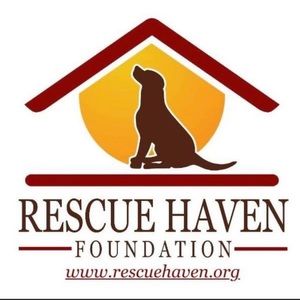 Mink coat-All sales benefit local NJ rescue haven foundation